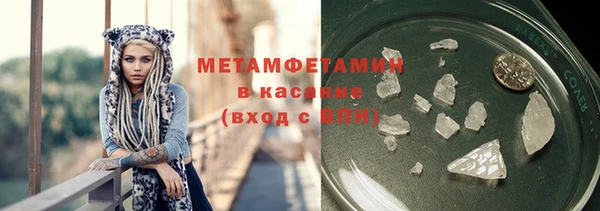 прущие грибы Белокуриха