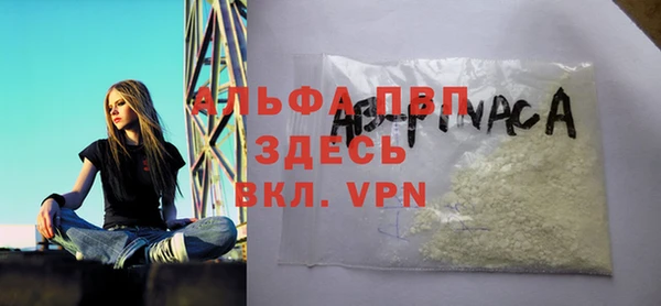 прущие грибы Белокуриха