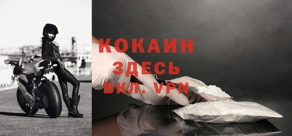 мяу мяу мука Беломорск