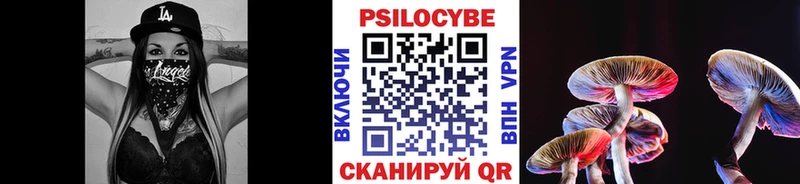 мега как войти  Чусовой  Галлюциногенные грибы Cubensis 